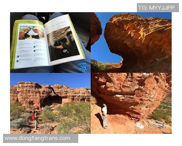 重庆攀岩队的训练节奏与发展趋势深度解析